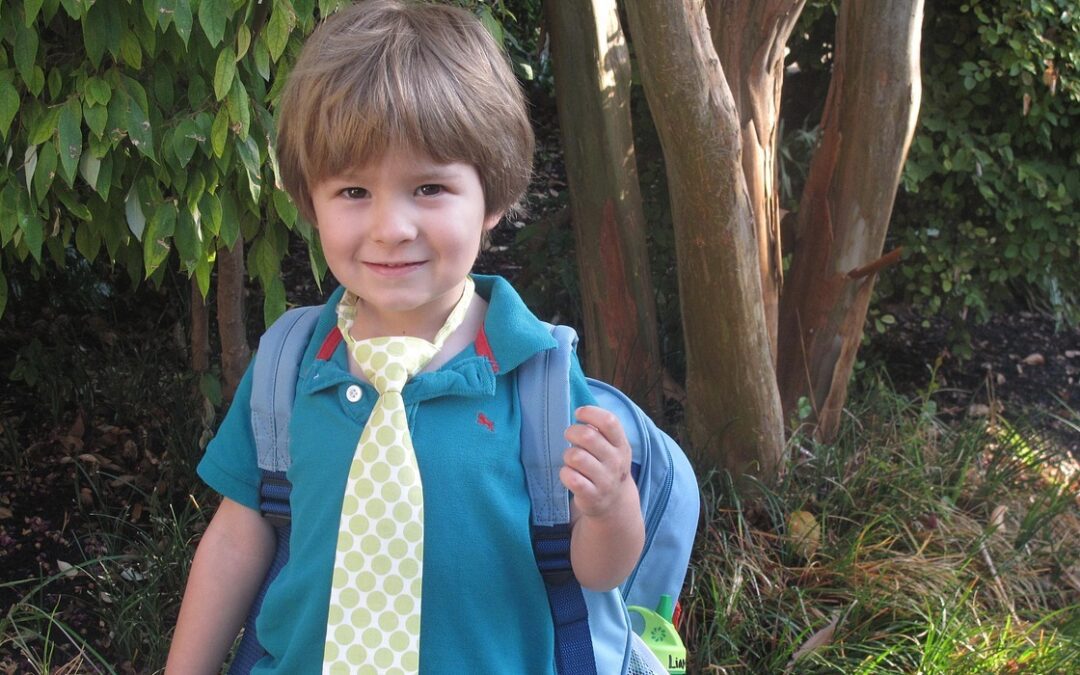 EDUCADOR DE ESCUELAS INFANTILES